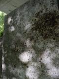 image of grave number 689059